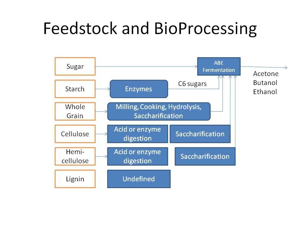 Biobutanol Production through fermentation Biobutanol Feedstocks